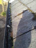 fkillineybeforeexternal 1150.jpg